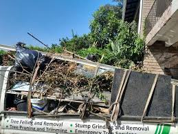 Best Moving and Downsizing Cleanouts  in Lewisburg, OH